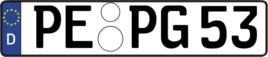 PE-PG53