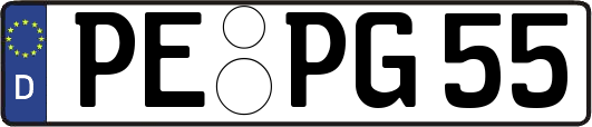 PE-PG55