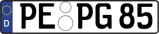 PE-PG85