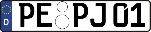 PE-PJ01