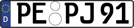 PE-PJ91