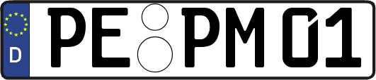 PE-PM01