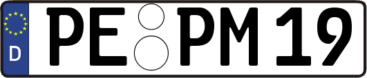 PE-PM19