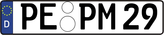 PE-PM29