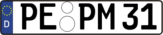 PE-PM31