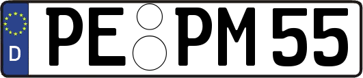 PE-PM55