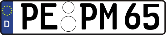 PE-PM65