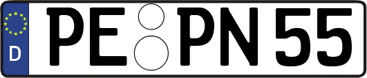 PE-PN55