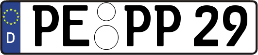 PE-PP29