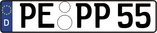 PE-PP55