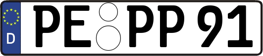 PE-PP91