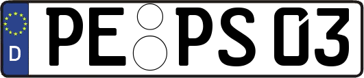 PE-PS03