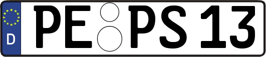 PE-PS13