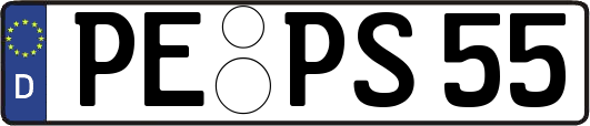 PE-PS55