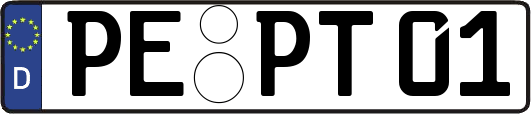 PE-PT01