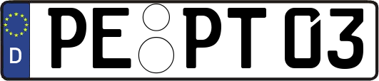 PE-PT03