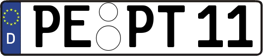PE-PT11