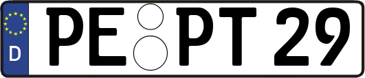 PE-PT29