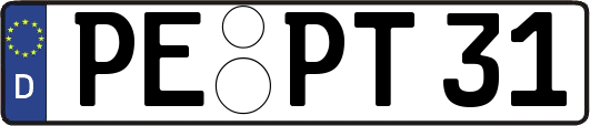 PE-PT31