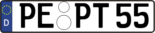 PE-PT55
