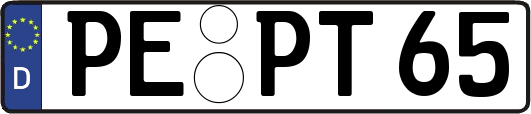 PE-PT65