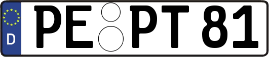 PE-PT81