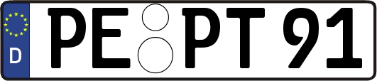 PE-PT91