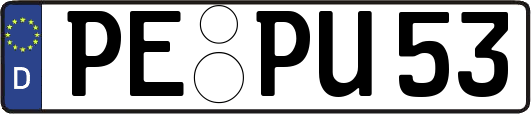PE-PU53