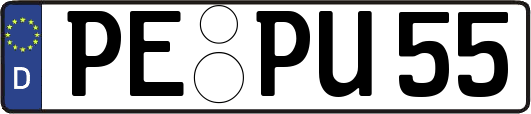 PE-PU55