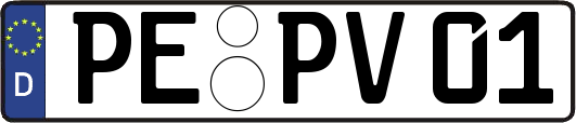 PE-PV01