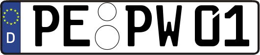 PE-PW01