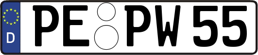 PE-PW55