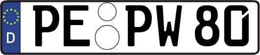 PE-PW80