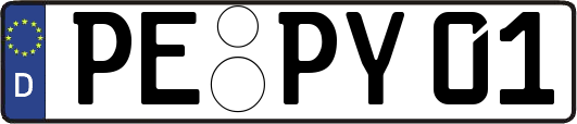 PE-PY01