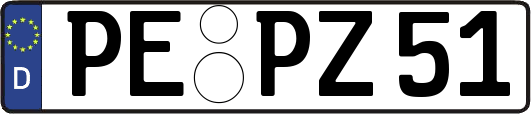 PE-PZ51