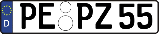 PE-PZ55