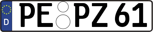 PE-PZ61