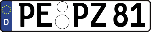 PE-PZ81