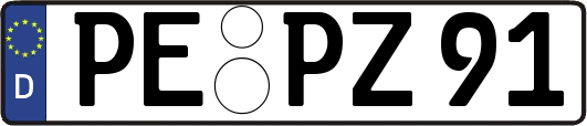 PE-PZ91