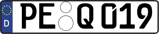 PE-Q019