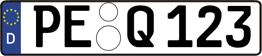 PE-Q123