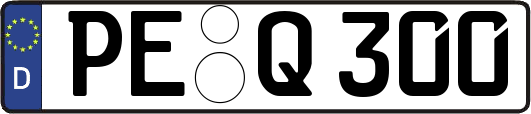 PE-Q300