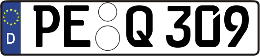 PE-Q309