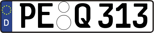 PE-Q313