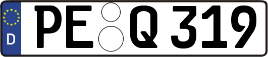 PE-Q319