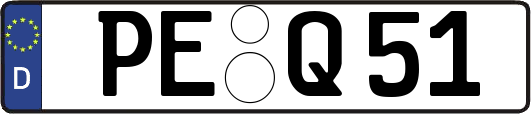PE-Q51