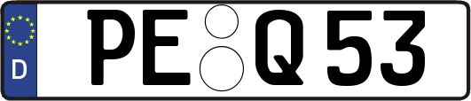 PE-Q53