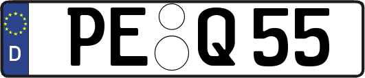 PE-Q55