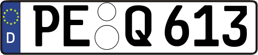 PE-Q613