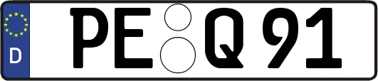 PE-Q91
